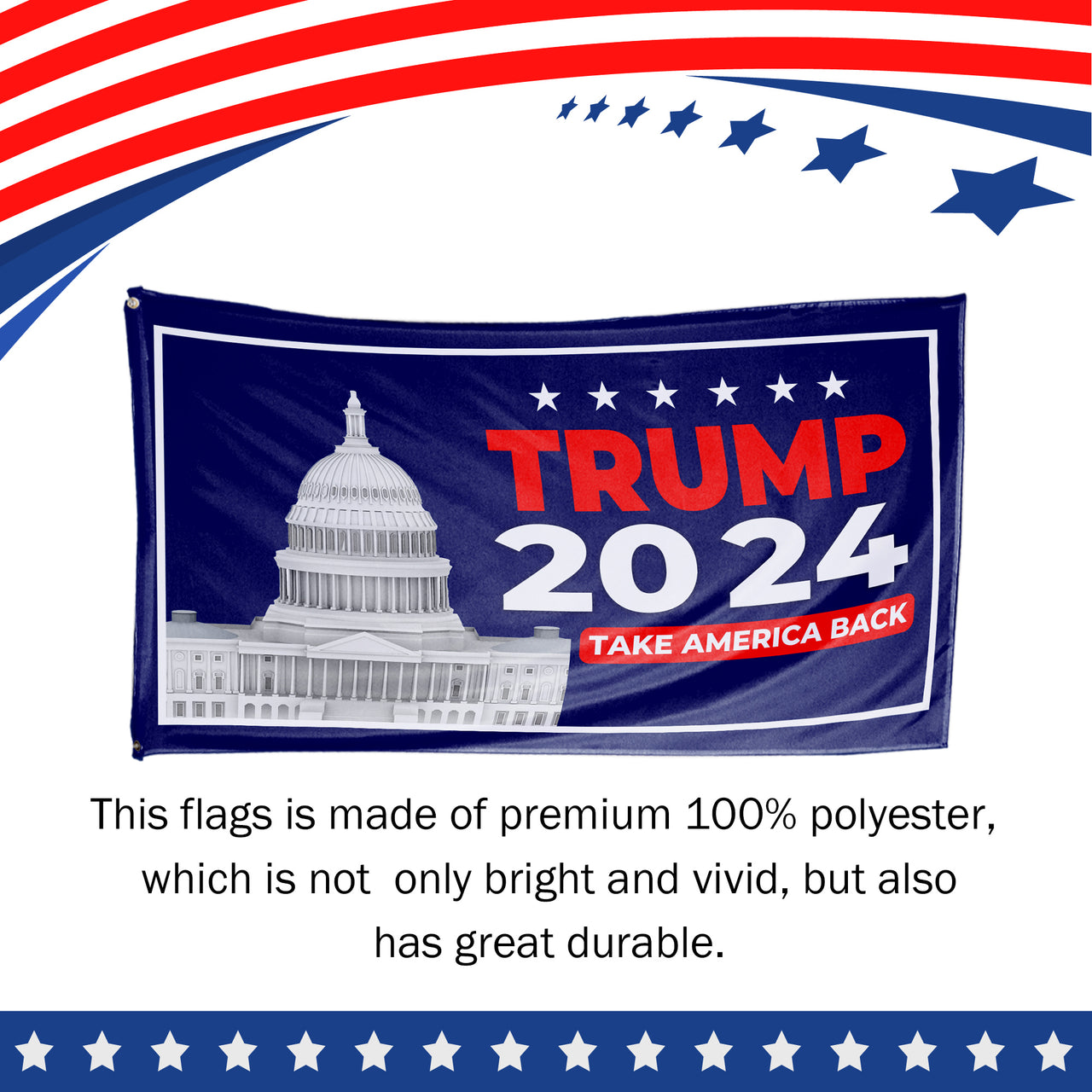 Trump 2024 Take America Back Capitol Building 3x5 Flag