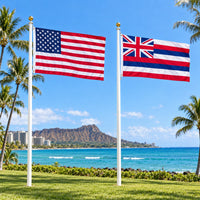 Heavy Duty American Flag and Hawaii State Flag 3x5 2-Pack displayed outdoors