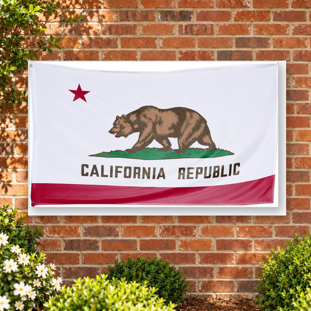 California State Flag 3x5 displayed outdoors