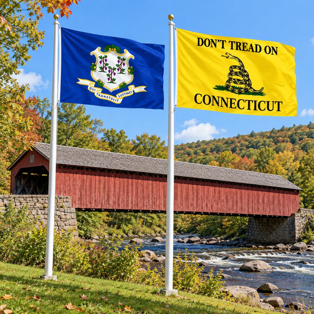 Connecticut State Flag and Don't Tread on Connecticut Flag 3x5 2-Pack displayed outdoors
