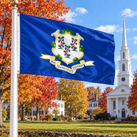 Connecticut State Flag 3x5 displayed outdoors