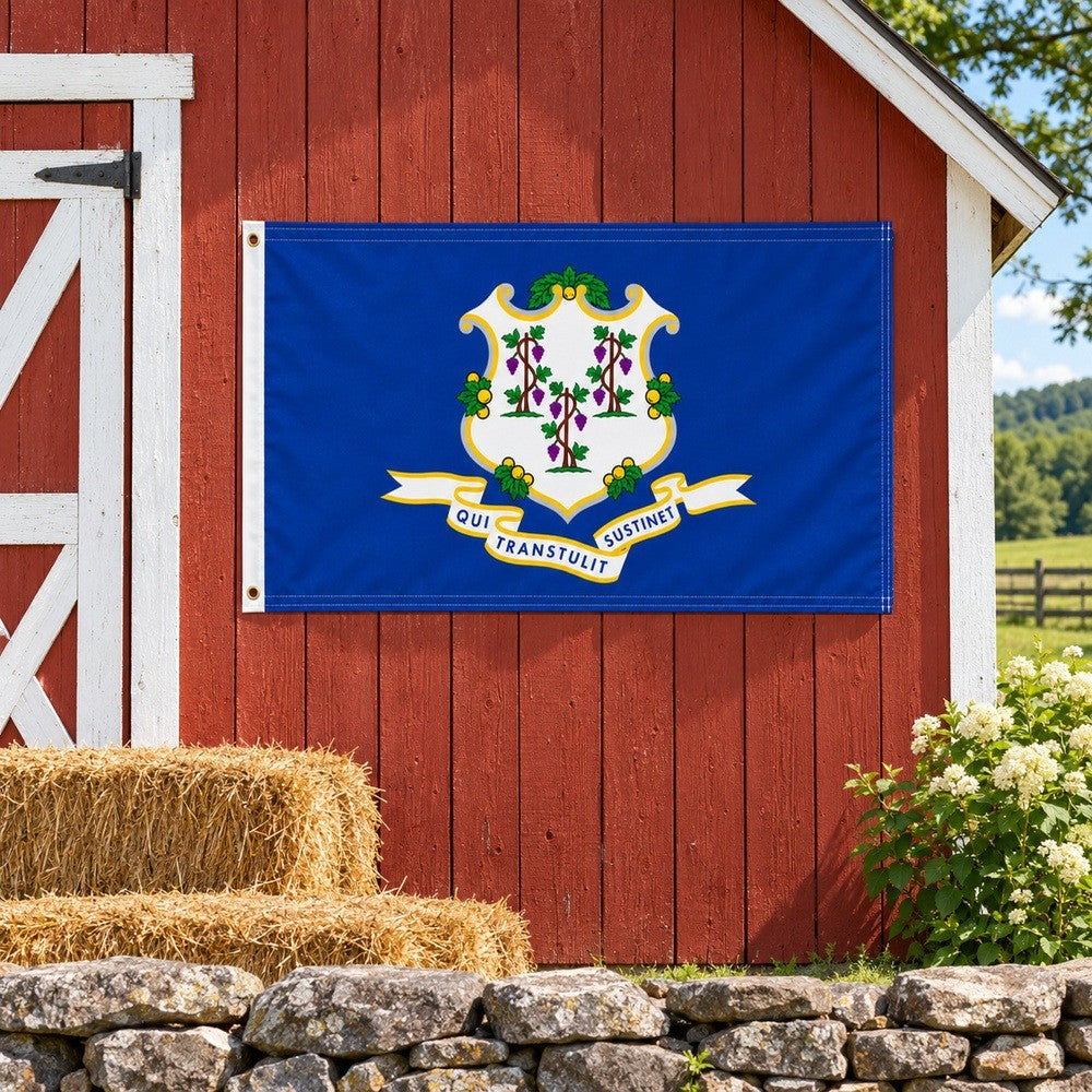 Connecticut State Flag 3x5 displayed outdoors