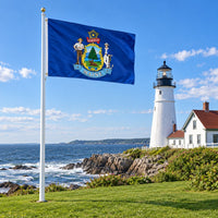 Maine State Flag 3x5 displayed outdoors