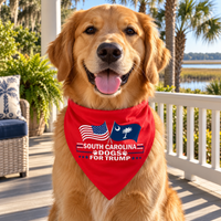 Golden retriever wearing the South Carolina dog bandana on a porch (lifestyle)