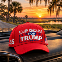 South Carolina embroidered red hat on a truck dashboard at sunset (lifestyle)
