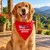 Golden retriever wearing the Tennessee dog bandana on a porch (lifestyle)