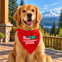 Golden retriever wearing the Washington dog bandana on a porch (lifestyle)