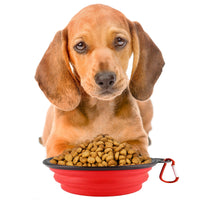 Republican Dogs Collapsible Dog Bowl