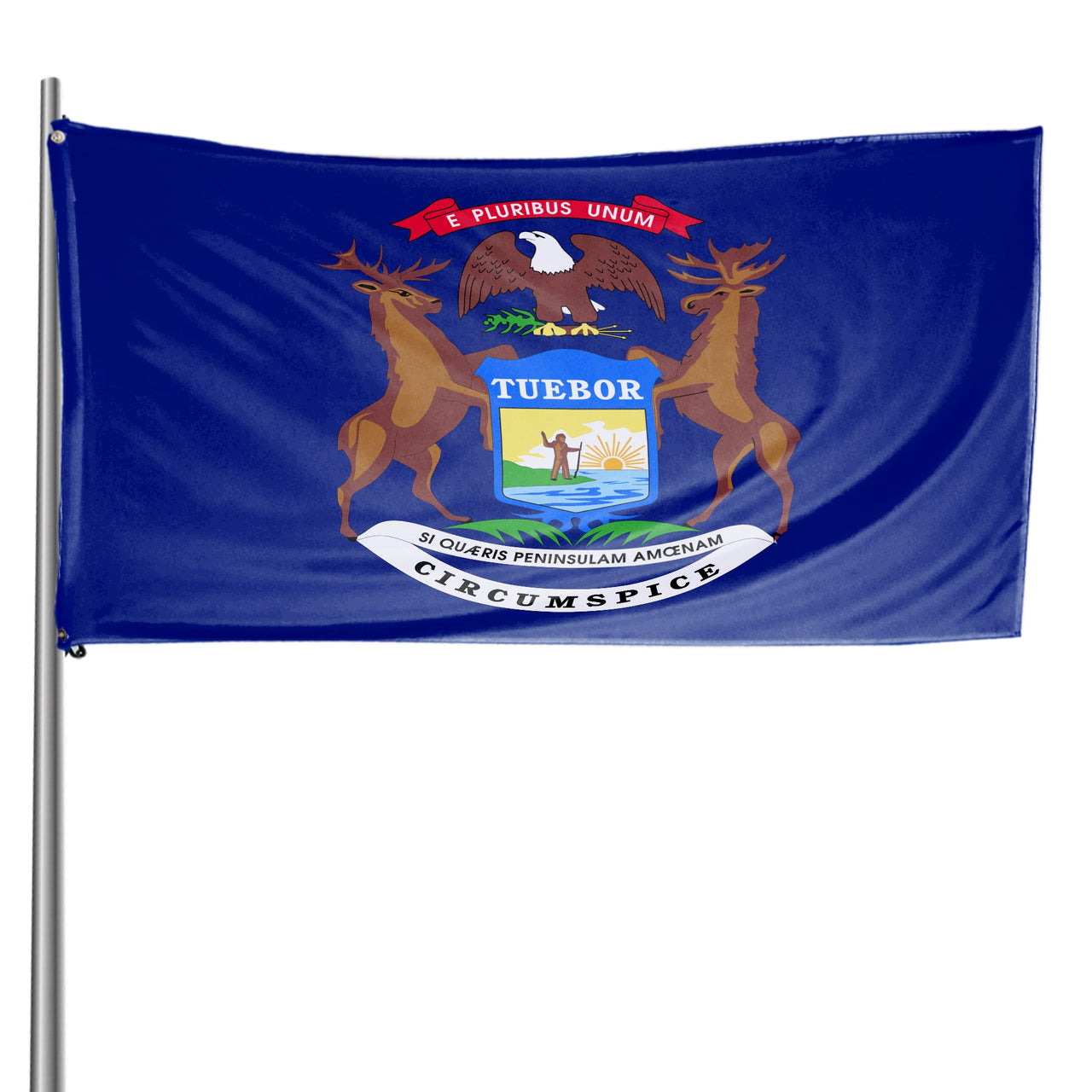 Michigan State Flag 3 x 5 Feet