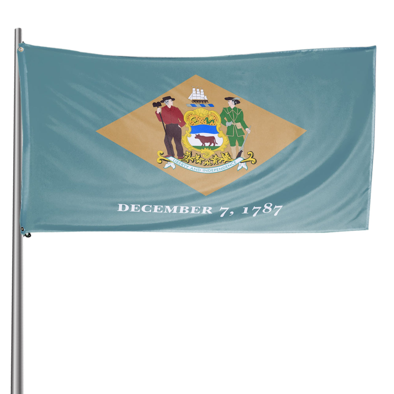 Delaware State Flag 3 x 5 Feet