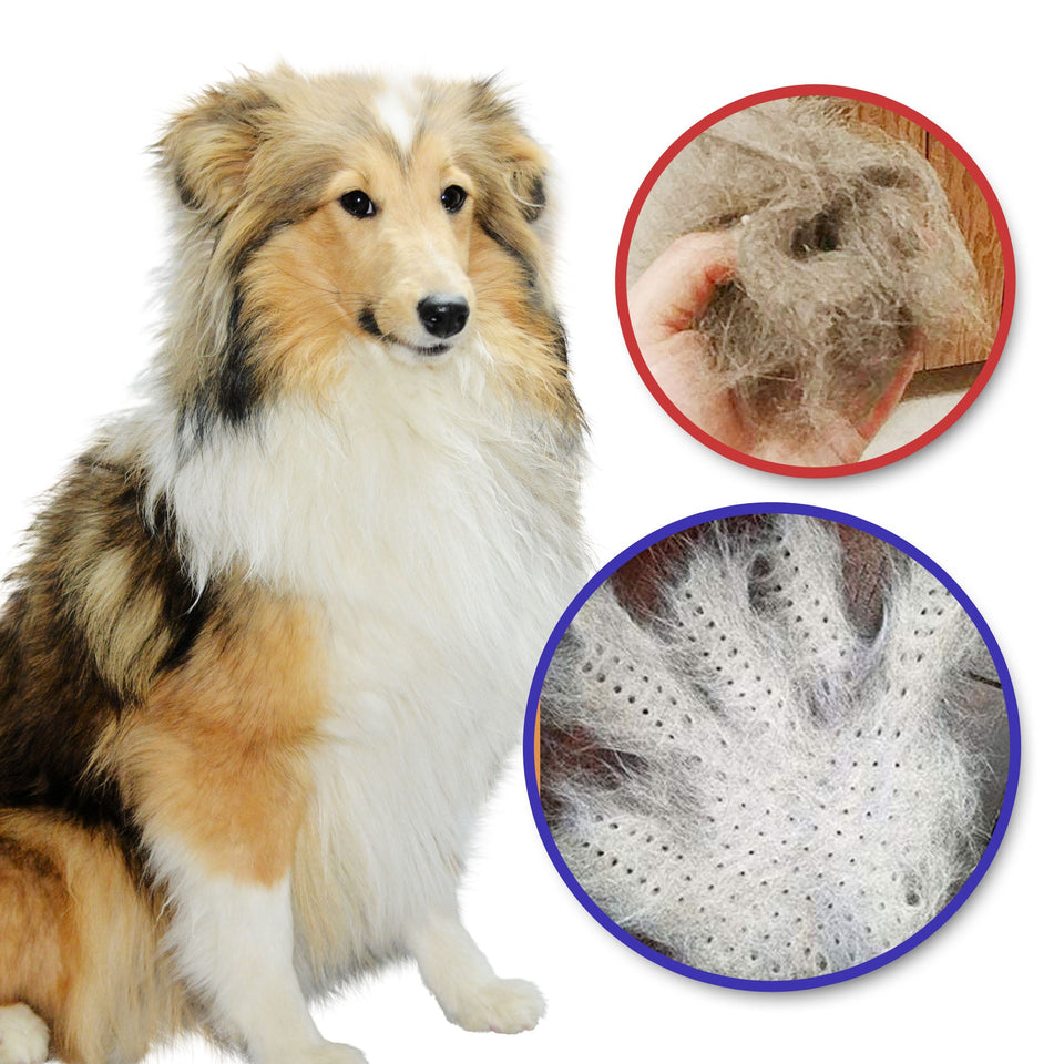 Dog Brush Glove Deshedding