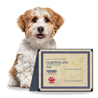 Republican Dog Registry Bundle