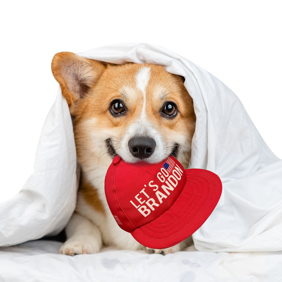 Let's Go Brandon Red Chew Toy Hat