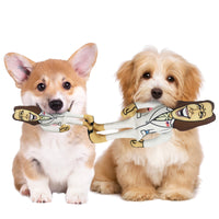 Extra Large Joe Biden Kamala Harris & Nancy Pelosi Starter Pack Tough Plush Dog Chew Toys with Squeakers - Official Republican Dogs