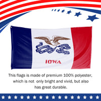 Iowa State Flag 3 x 5 Feet