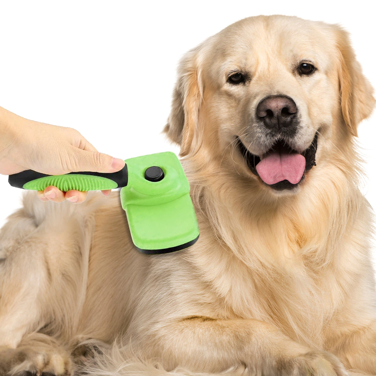 Republican Dog Brush Grooming Tool for Deshedding