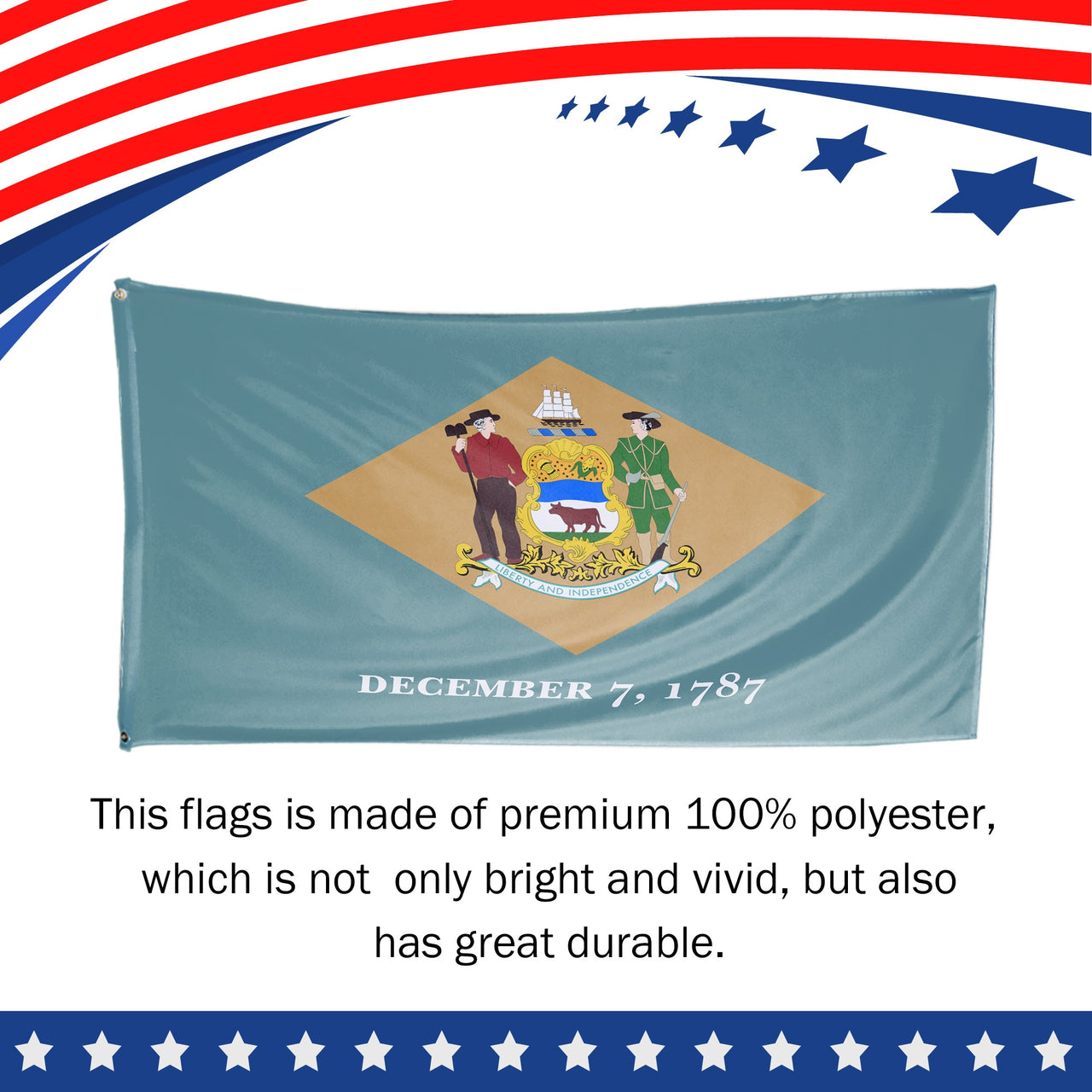 Delaware State Flag 3 x 5 Feet