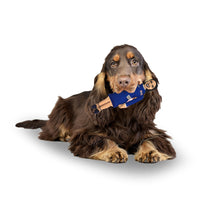 The Squad Includes AOC IIlhan Rashida & Ayanna Pressley Tough Plush Dog Chew Toys with Squeakers - Official Republican Dogs