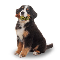 The Squad Includes AOC IIlhan Rashida & Ayanna Pressley Tough Plush Dog Chew Toys with Squeakers - Official Republican Dogs