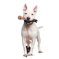 Chuck Schumer Tough Plush Dog Chew Toy with Squeaker - Official Republican Dogs