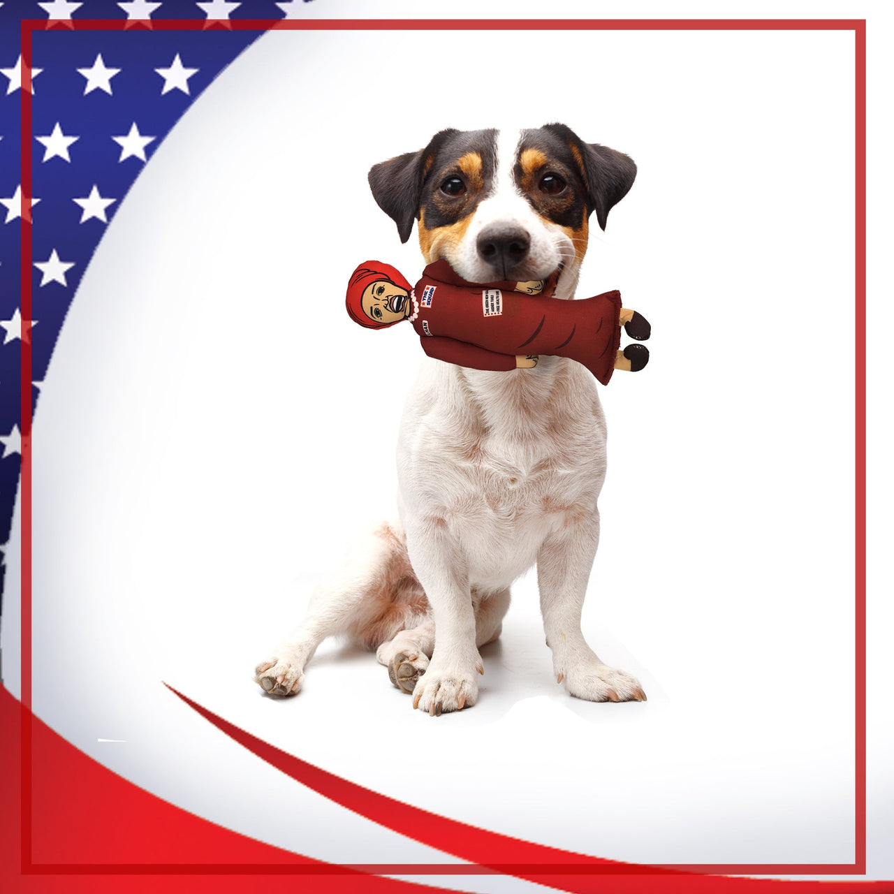 Ilhan Omar Squad Member Tough Plush Dog Chew Toy with Squeaker - Official Republican Dogs