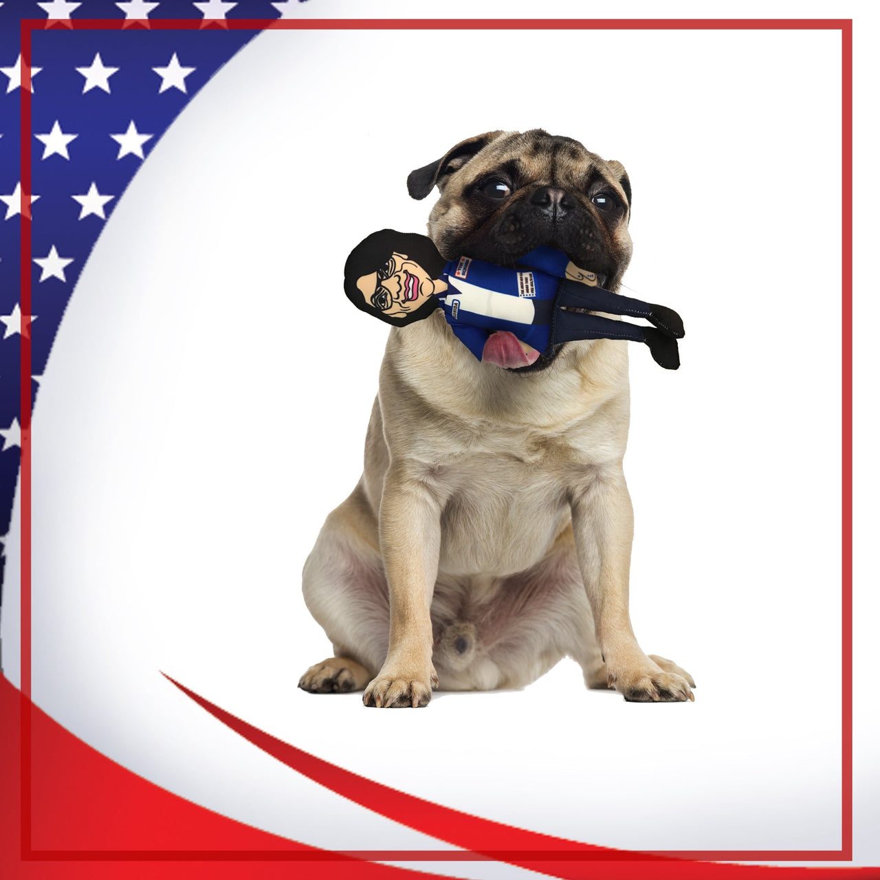 Rashida Tlaib Squad Member Tough Plush Dog Chew Toy with Squeaker - Official Republican Dogs